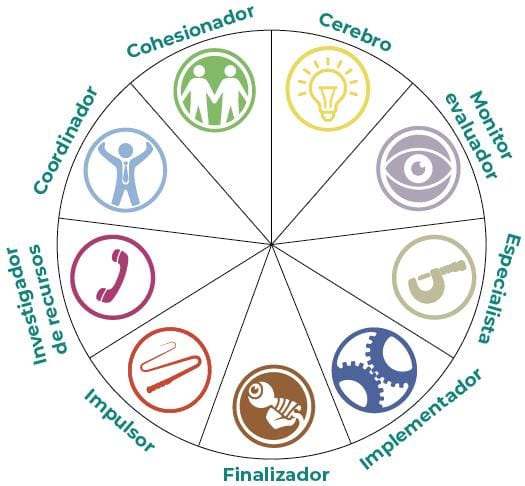 Rueda de los 9 roles de Belbin.