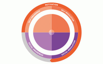 Inteligencia Emocional: qué es y por qué es importante.