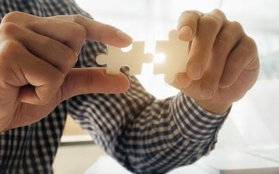 Mentoring con DISC: tendencias en la gestión de Recursos Humanos