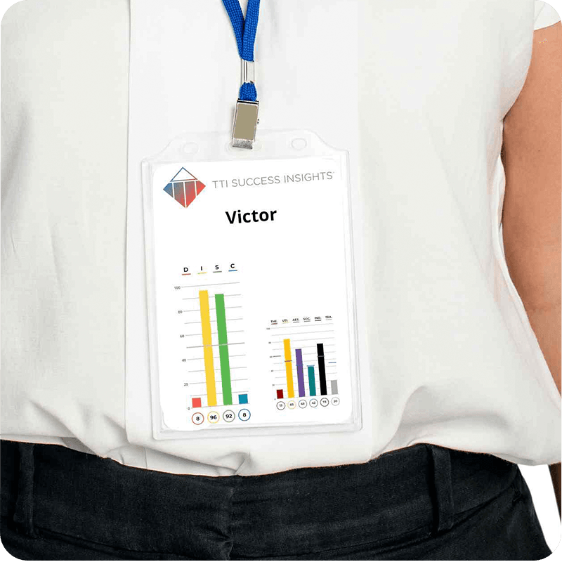 Solución de problemas y desarrollo de liderazgo con DISC, Fuerzas Impulsoras y gestión del talento - Test talento