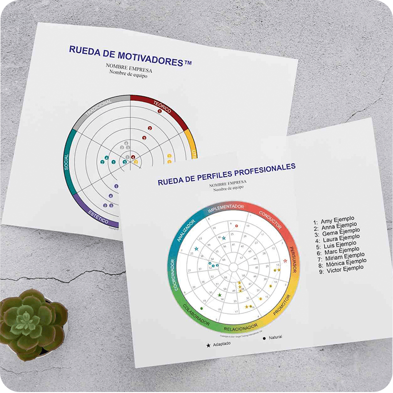 Solución de problemas en team building con DISC, Fuerzas Impulsoras y gestión del talento - Test talento