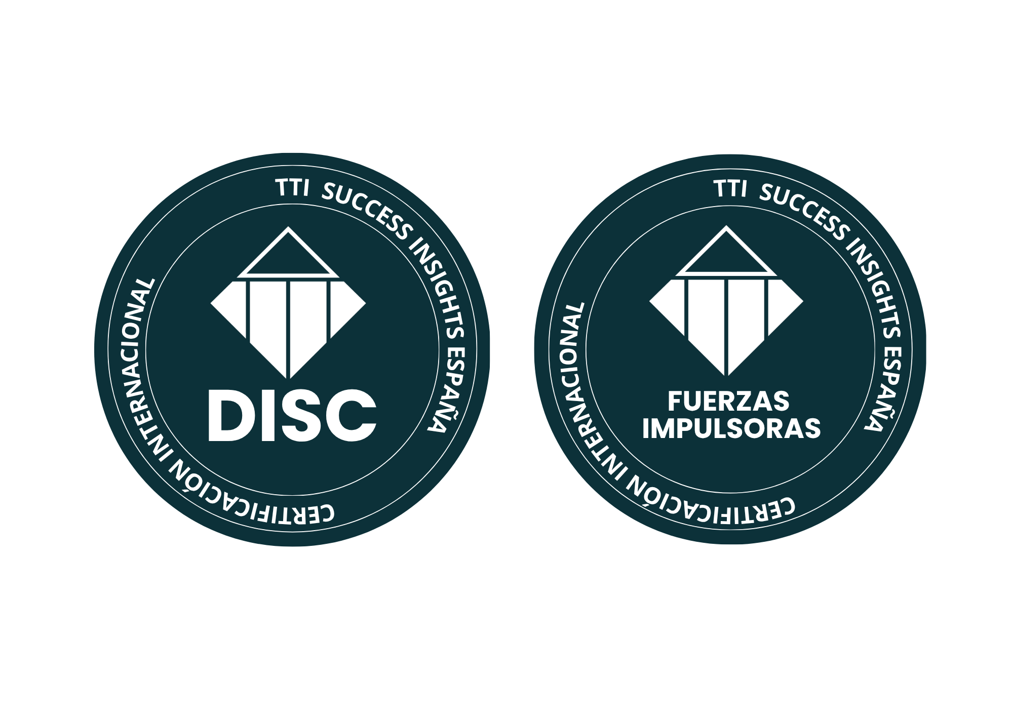 Certificación Multiciencia DISC + Fuerzas Impulsoras.