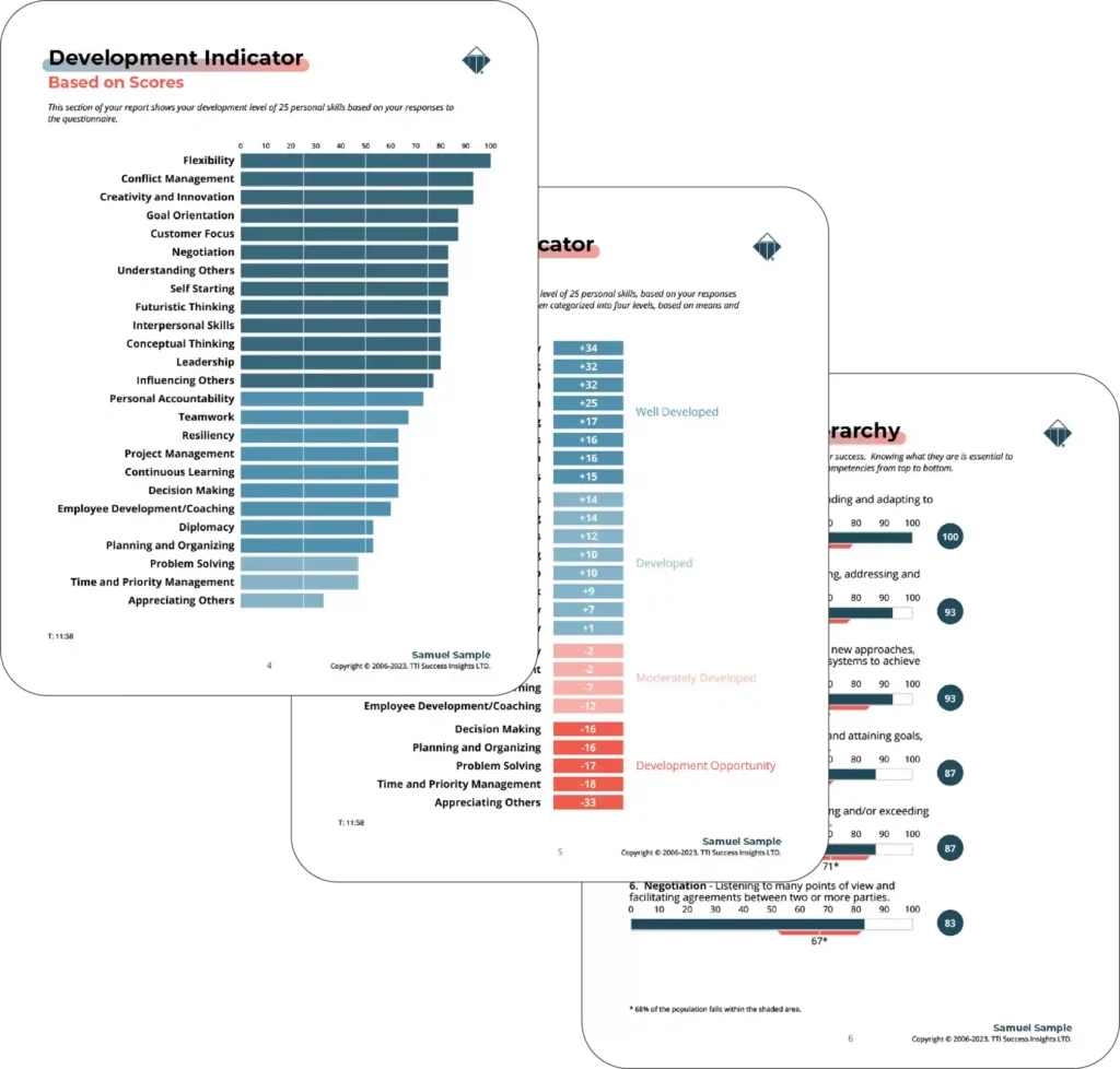 Informe de evaluación DNA de TTI Success Insigths.